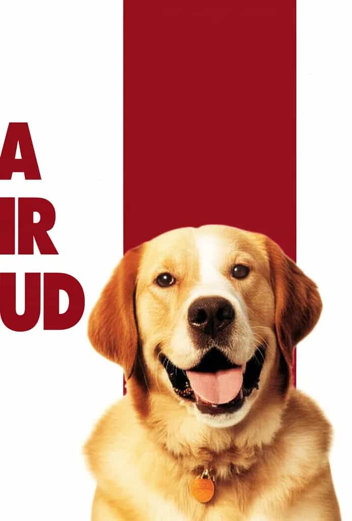 Poster for Air Bud