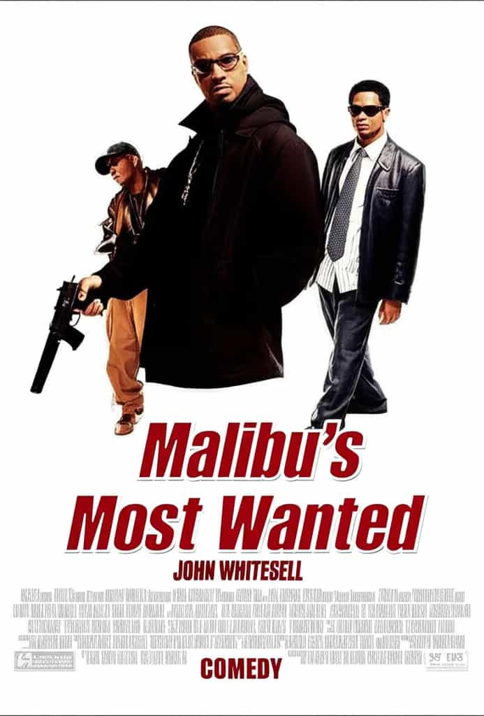 Poster for Malibu's Most Wanted