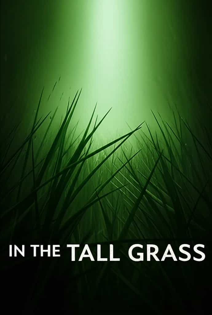 Poster for In the Tall Grass