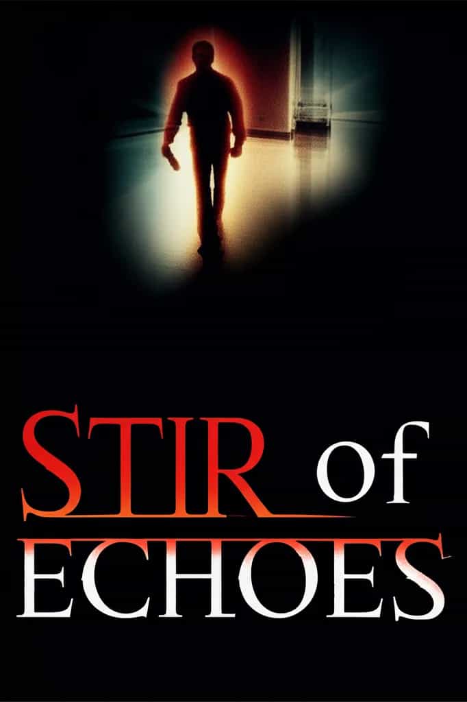 Poster for Stir of Echoes