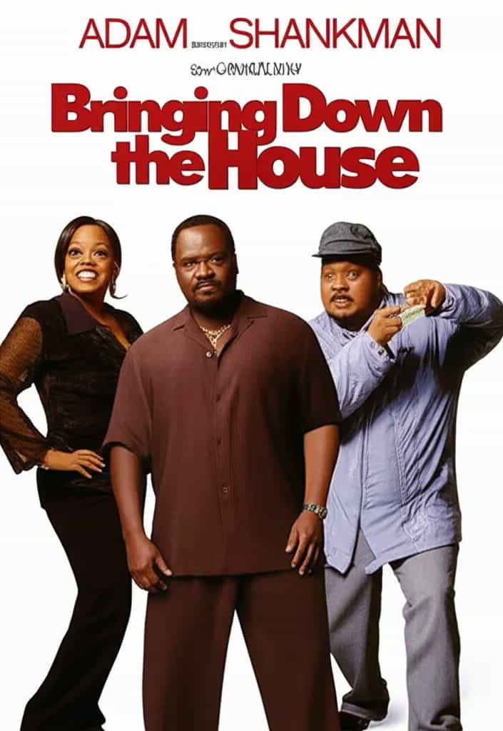 Poster for Bringing Down the House