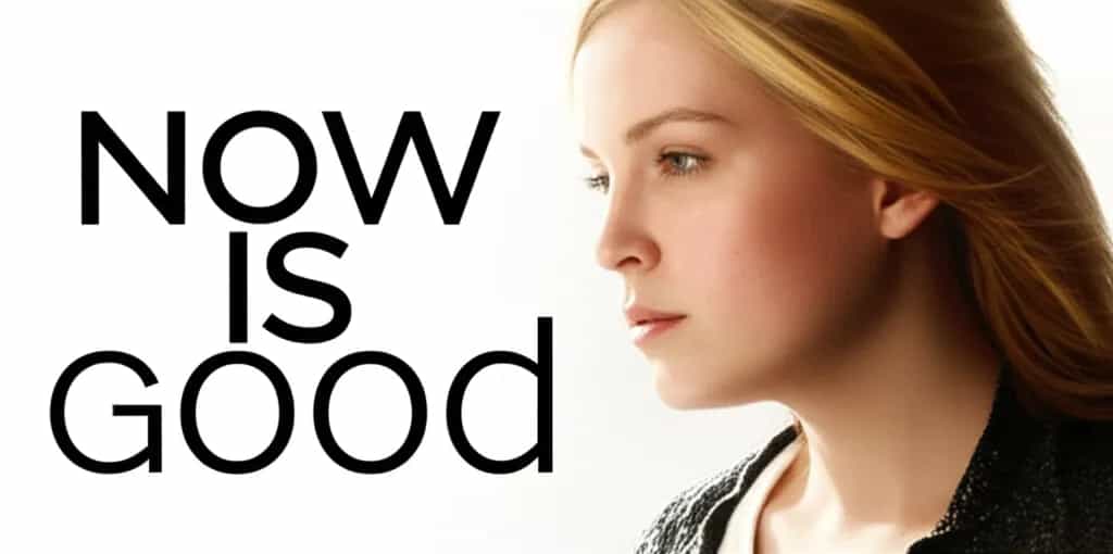 Poster for Now Is Good